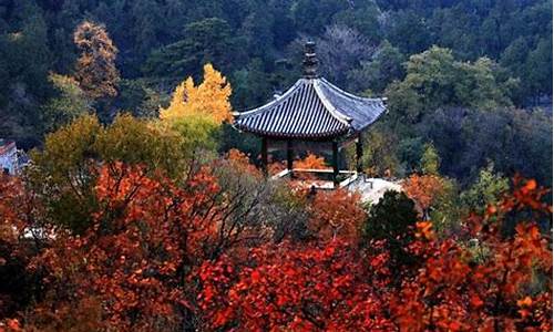 南京栖霞山要门票吗_南京栖霞山要门票吗?