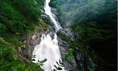 天目山景区旅游攻略_天目山景区旅游攻略一日游