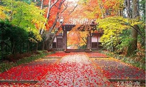 10月下旬适合去哪里旅游_十月下旬适合去哪些地方旅游景点