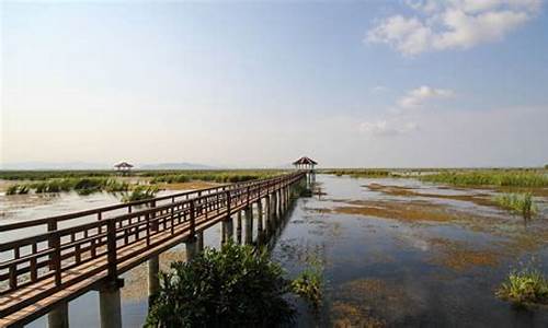 上海崇明岛一日游_上海崇明岛一日游攻略