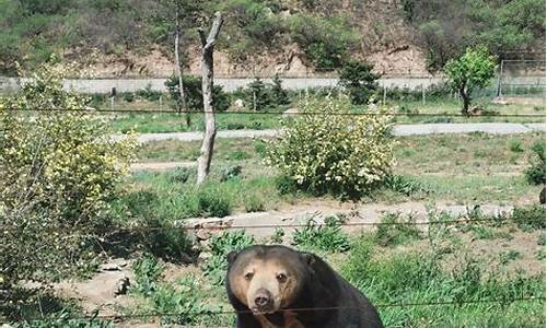 八达岭野生动物园营业时间_八达岭野生动物园营业时间表